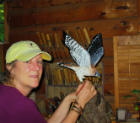 Artist at work on the Kestrel