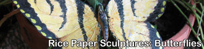 See Butterfly/Insect Paper Sculptures